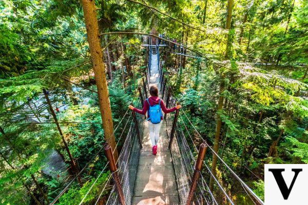 10 Secret Spots for Outdoor Fun in Vancouver